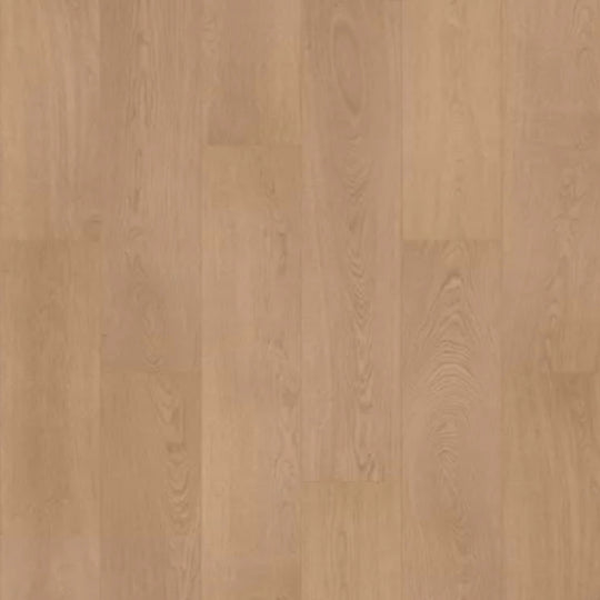 Oxford Grove in Cyrus