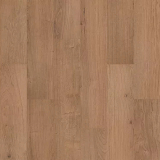 Ashland Falls in Phoenix