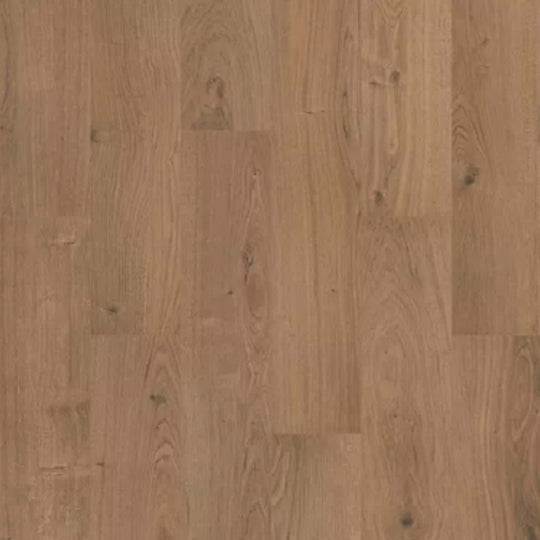 Ashland Falls in Fern