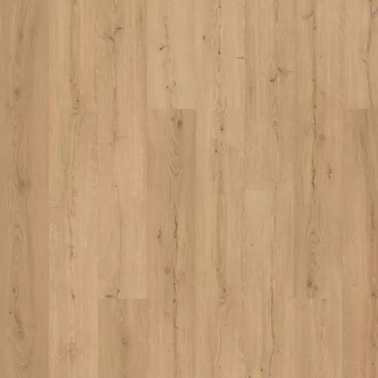 Saltgrass Marsh in Ryder