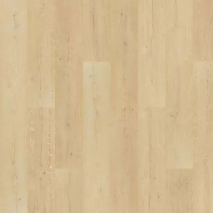 Saltgrass Marsh in Seabrook Luxury Vinyl