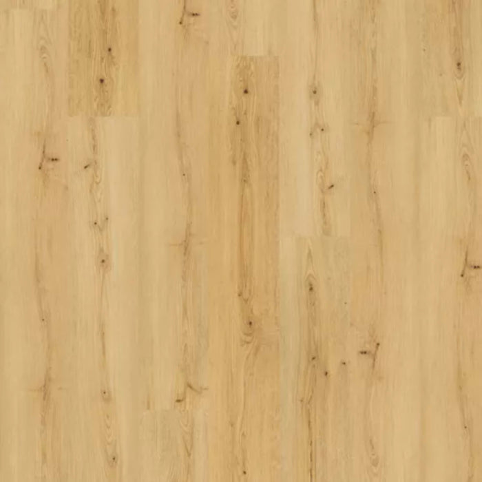 Saltgrass Marsh in Amelia Luxury Vinyl