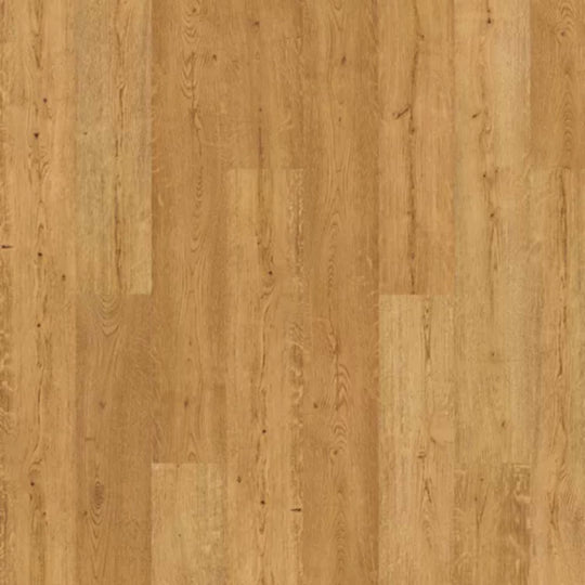 Saltgrass Marsh in Westerly