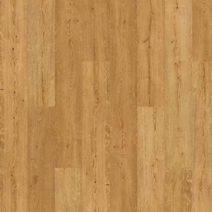 Saltgrass Marsh in Westerly Luxury Vinyl