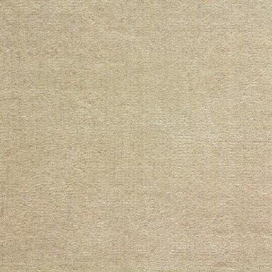 Athena in Champagne Carpet