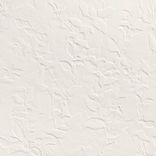 3D Wall Plaster in Jasmine White