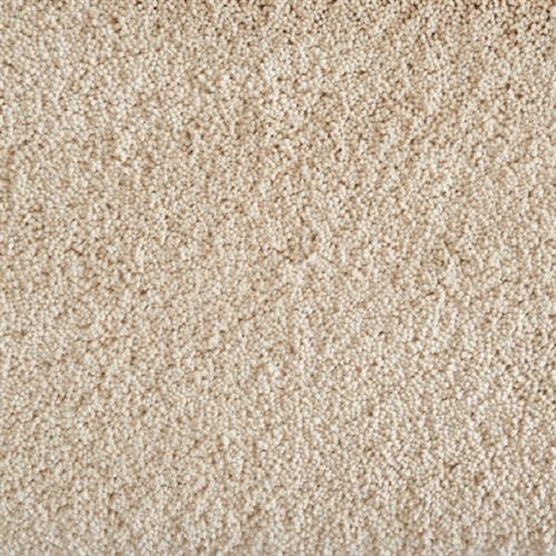 Avantgarde - Shaggy Grove in Ivory Carpet