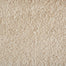Avantgarde - Shaggy Grove in Ivory Carpet