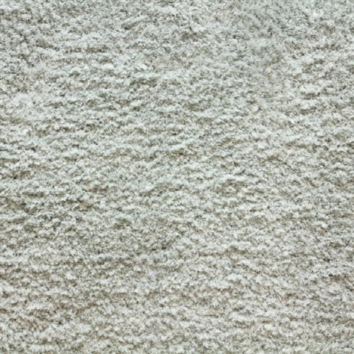 Avantgarde - Shaggy Posh