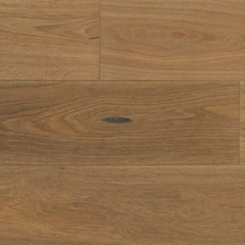 Norwood Hill - Azur Reserve in Belrose