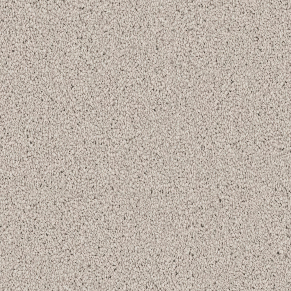 Adore in Fog Carpet