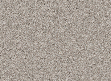Pebble
