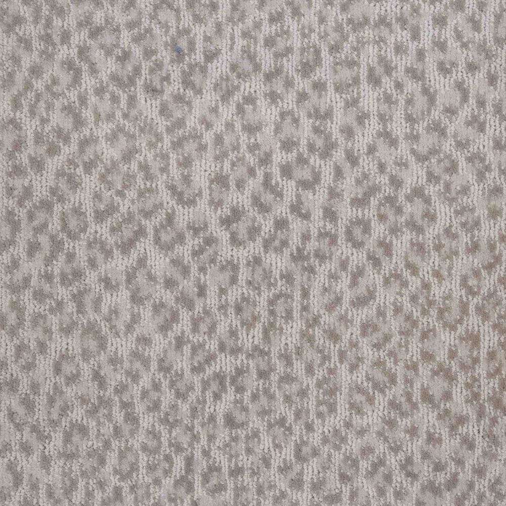 Adventure in Oyster Carpet