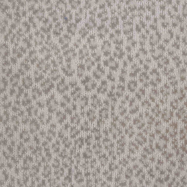 Adventure in Oyster Carpet