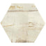 Princeton Glaze in Aged Elegance Hexagon Porcelain Tile