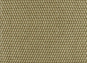 Seagrass