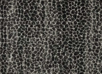 Graphite