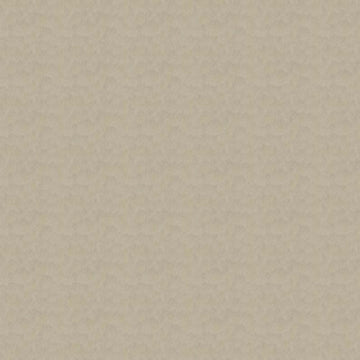 Antique White