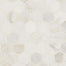 Arabescato Venato White in Arabescato Venato White 2" Hexagon Honed Natural Stone