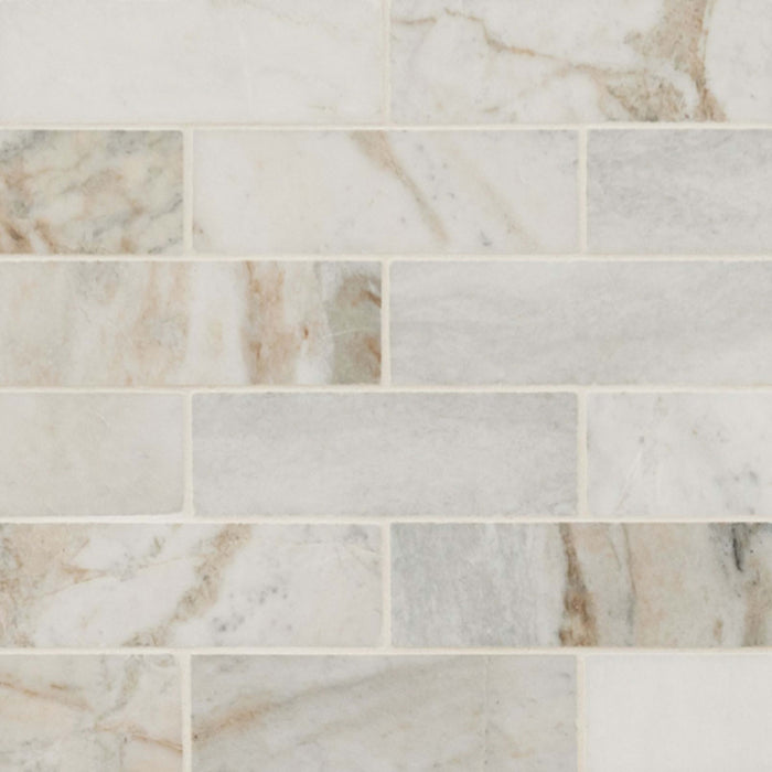 Arabescato Venato White in Arabescato Venato White Tile 2x6 Natural Stone