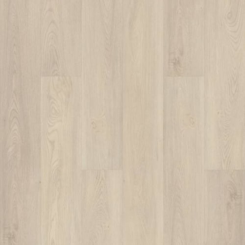 BD301 in Silver Dollar