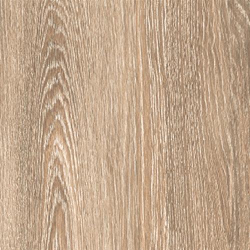 Bella Legno in Avana  Tile