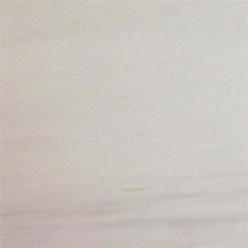 Bianco Dolomite in Bianco Dolomite - 24x24