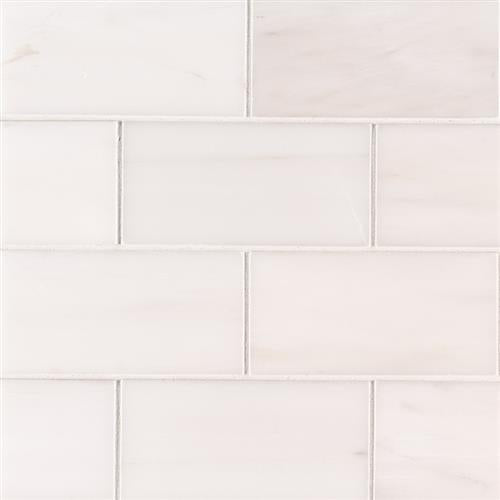Bianco Dolomite in Bianco Dolomite - 3x6 Subway