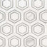 Bianco Dolomite in Bianco Dolomite - Georama Grigio Natural Stone