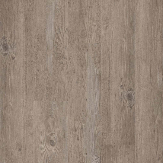 Brookbury in Sin Leche