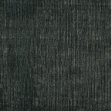 Bikram in Coal Carpet