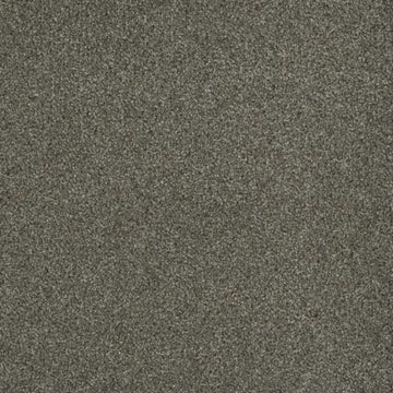Baltic Birch