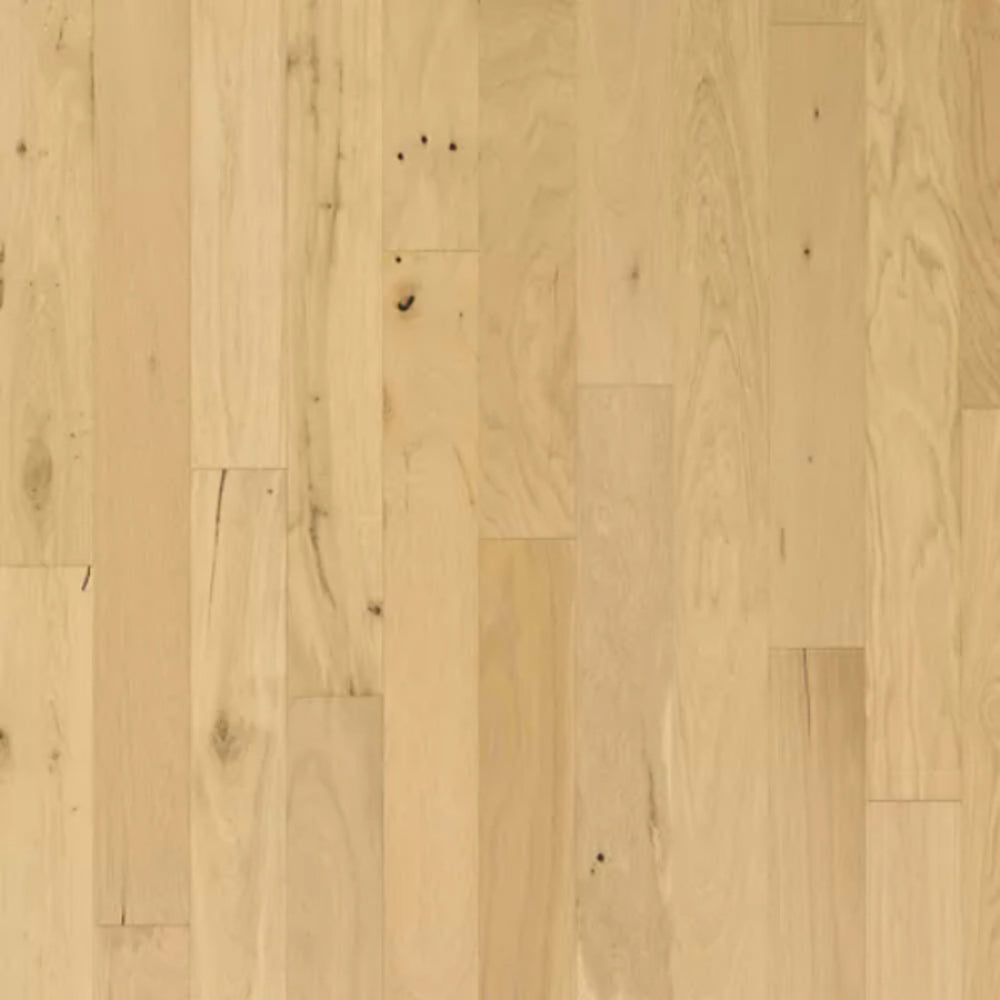 Camden Park in Barley Buff Hardwood