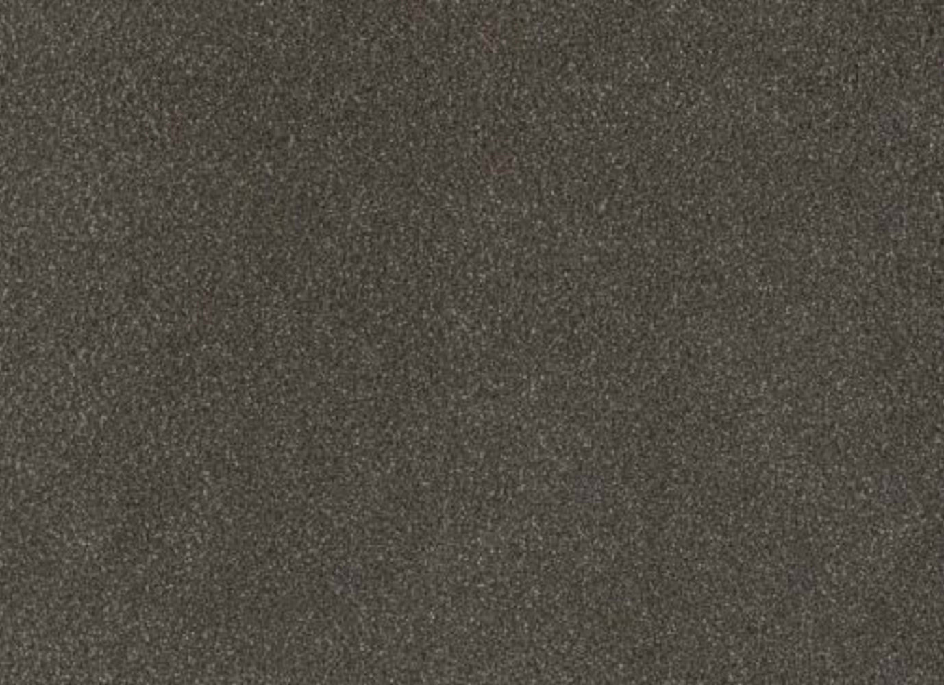 PALMETTO III in Bear Paw Carpet