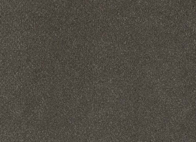 PALMETTO III in Bear Paw Carpet