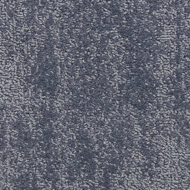 Belcarra in Bedwell Bay Carpet