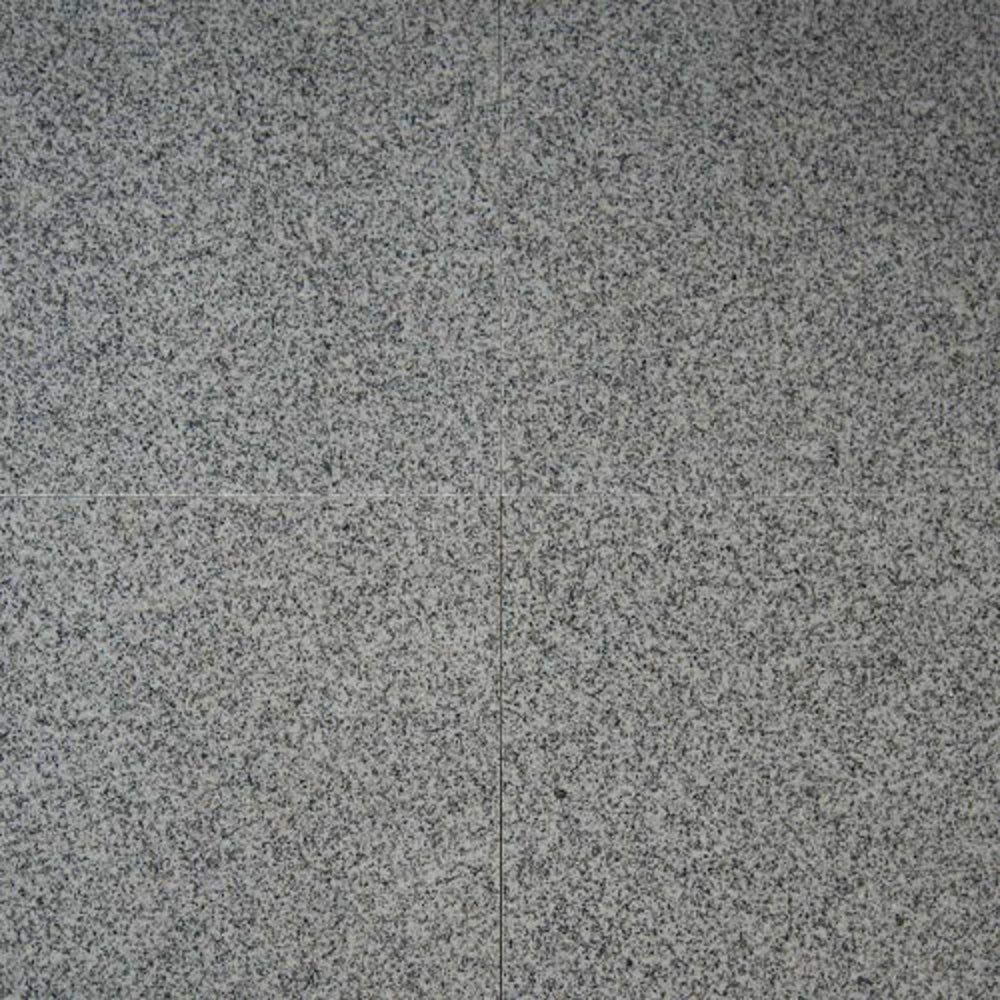 Bianco Catalina in Bianco Catalina - 12x12 Natural Stone