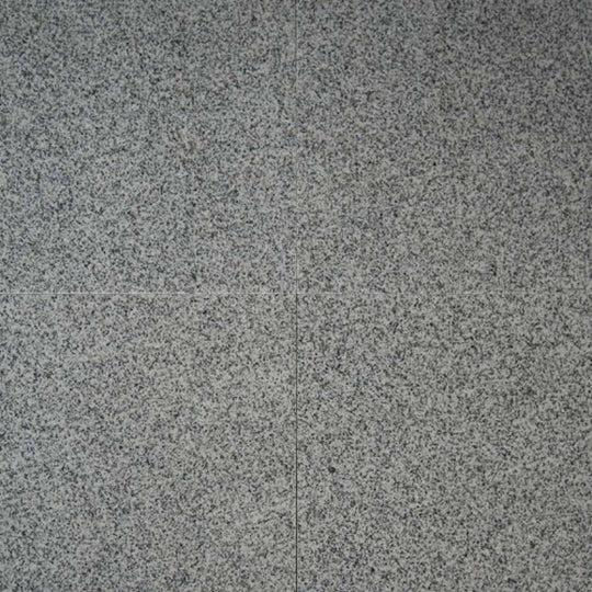 Bianco Catalina in Bianco Catalina - 12x12