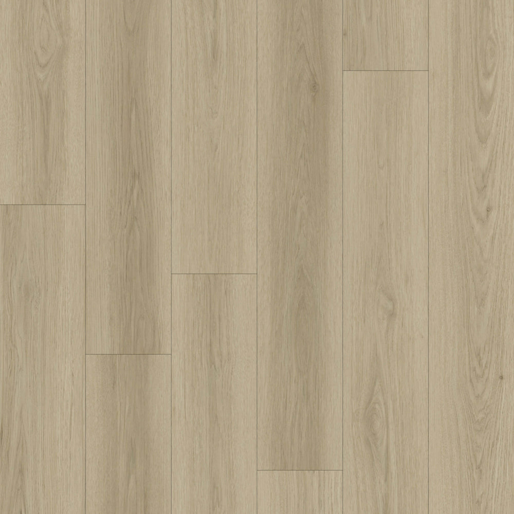 Avalon in Birch Laminate