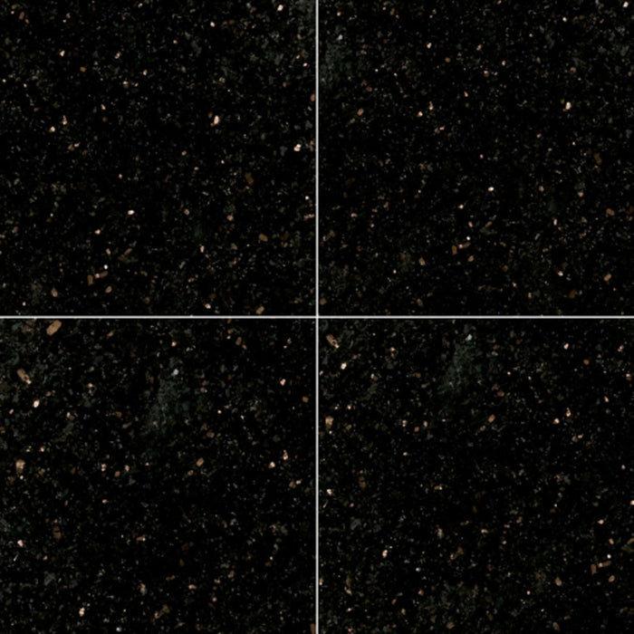 Black Galaxy in Black Galaxy - 12x12 Natural Stone