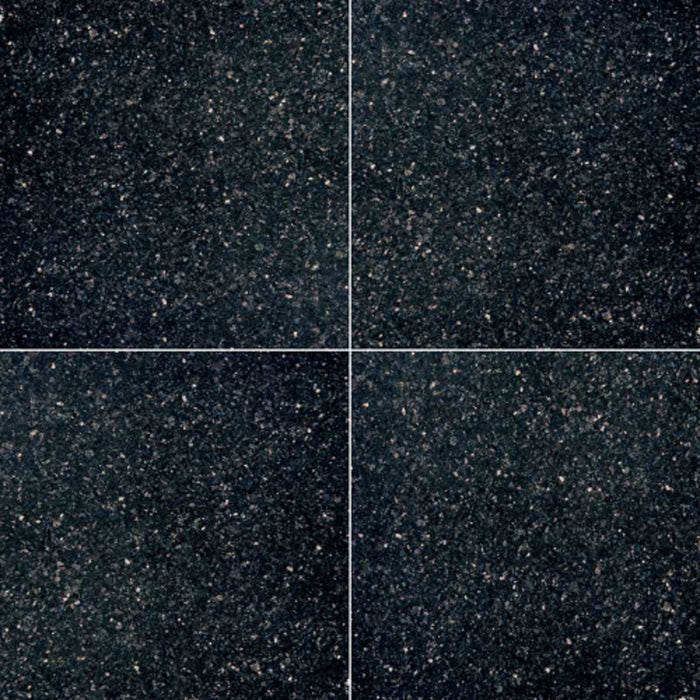 Black Galaxy in Black Galaxy - 18x18 Natural Stone