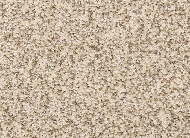 Cordial Welcome in Blanched Almond Carpet