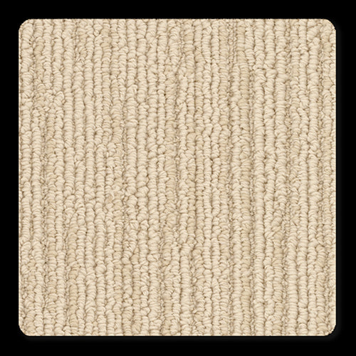 Branson in Fantastic        Carpet