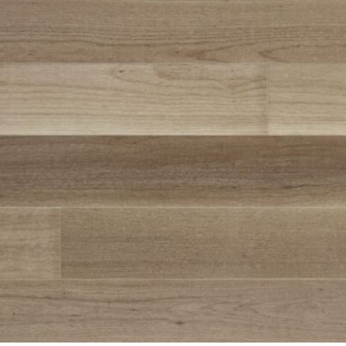 Classics in Brazilian Ash Atelier 525"