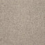 Brewer in Etched Pewter Carpet