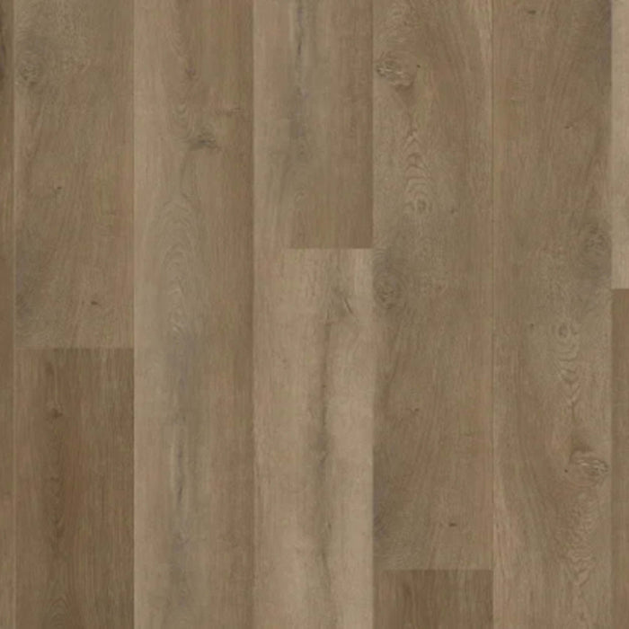 Natural Beauty Lux 9XL - Bristol Point in Ash Brown Luxury Vinyl