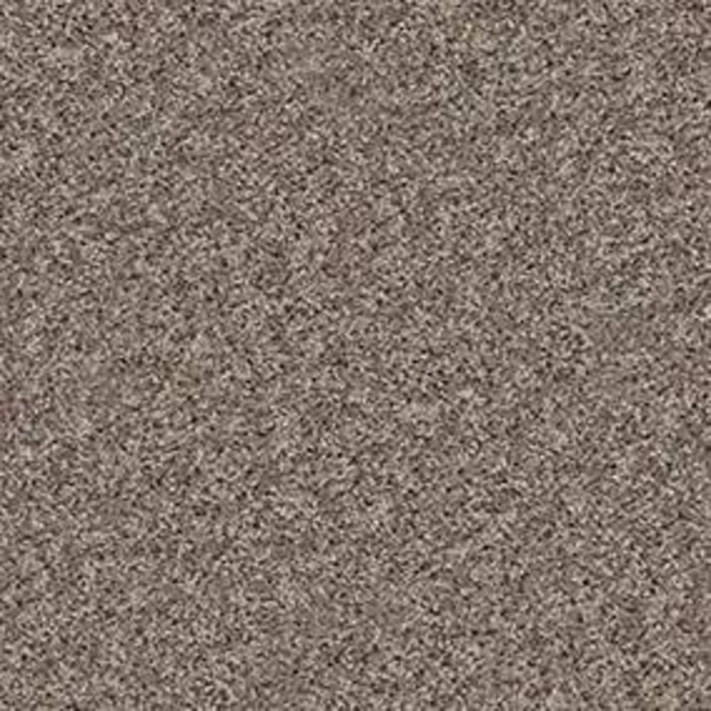 ACME COURT in Trade Wind Carpet