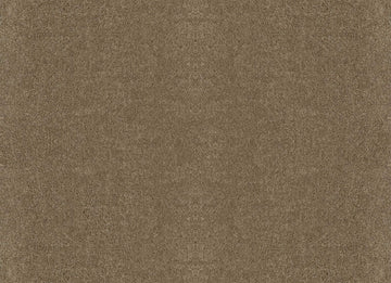 Hearth Stone