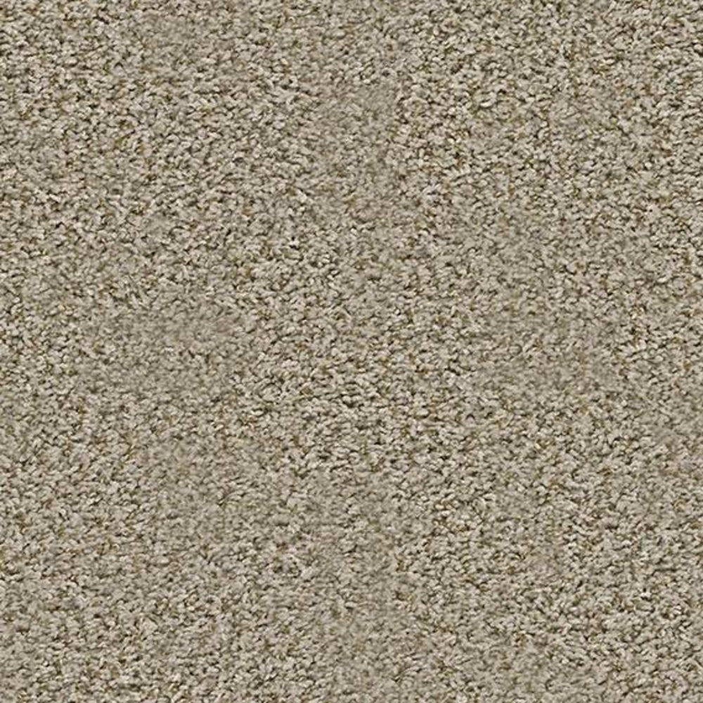 AMNICOLA in Sand Swept Carpet