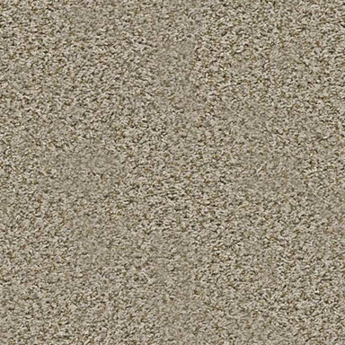AMNICOLA in Sand Swept Carpet